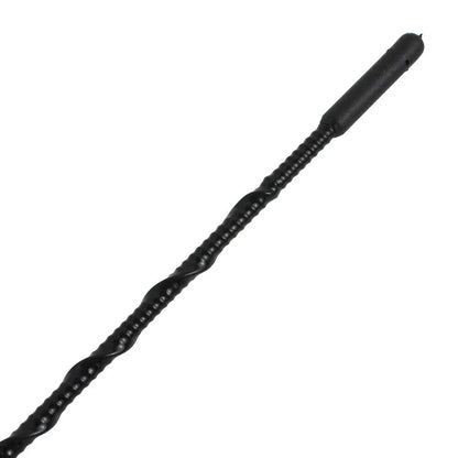 16" Black Antenna Mast for Ford Fusion (2006-2020)