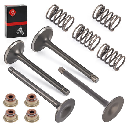 Valve Set with Seals for EZGO Gas 4 Stroke 295cc 350cc (1996–Present)