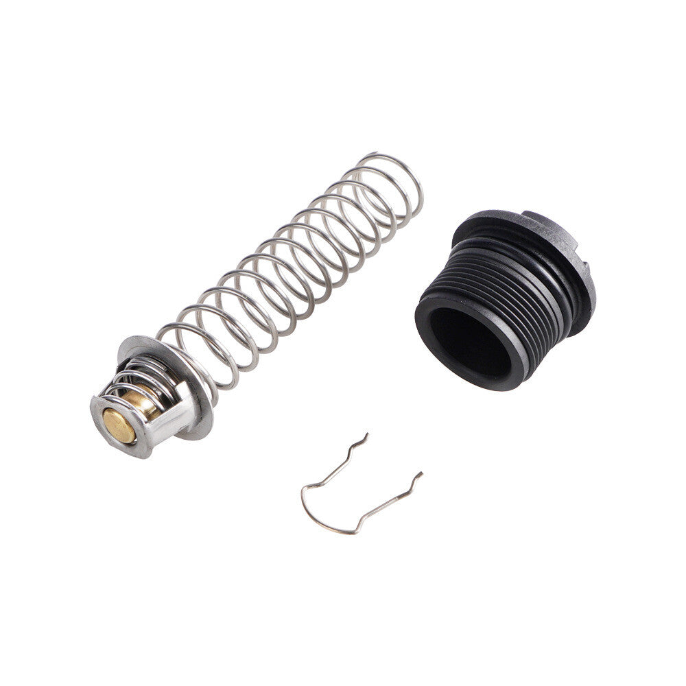 Thermal Regulator Replacement Kit for Pentair Pool and Spa Heater