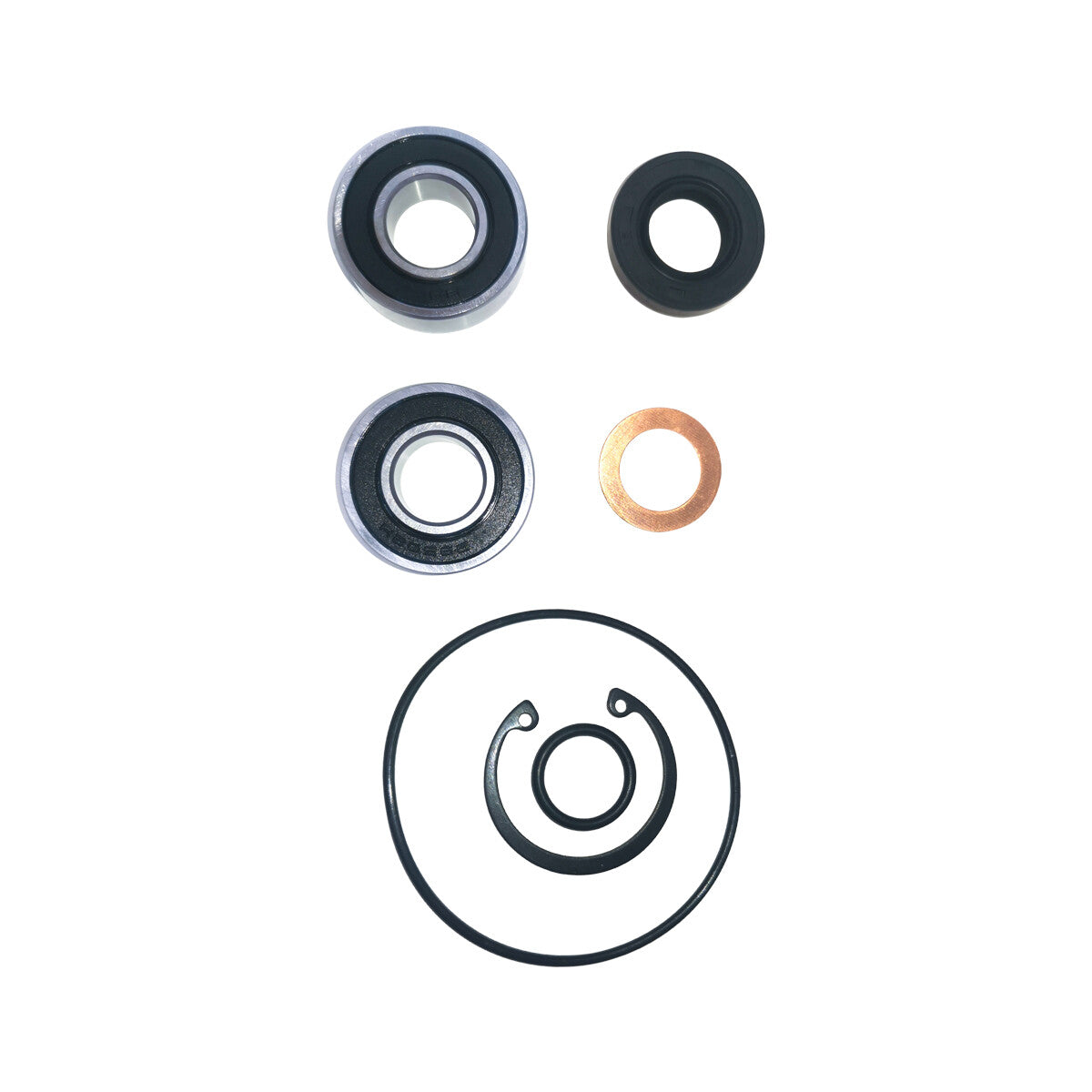 Major Repair Kit for Sherwood Pumps (Universal)