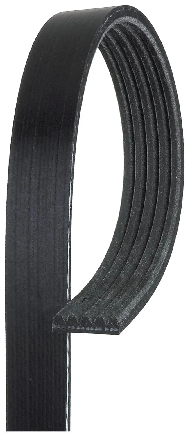 Drive Belt for Gates (5PK1070)