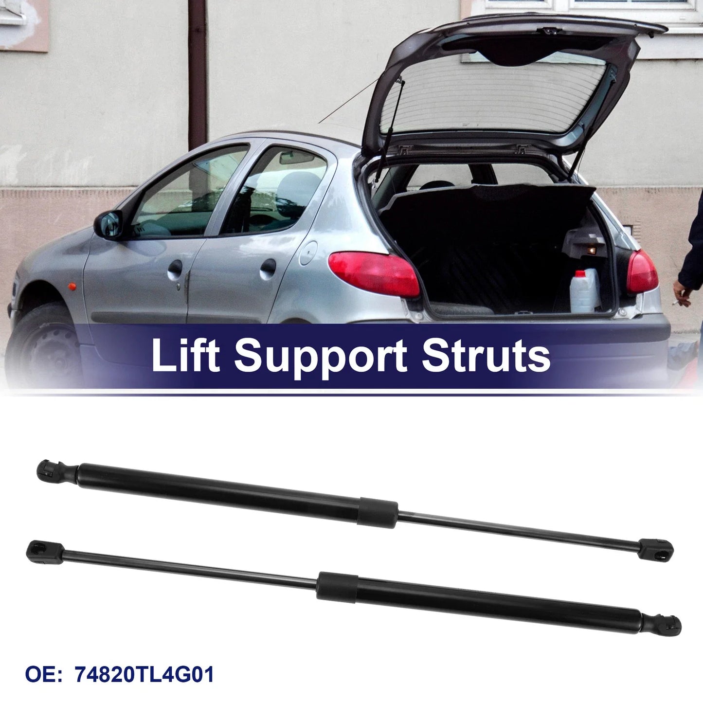 Tailgate Lift Support Struts Gas Spring for Honda Accord (2018-2023)