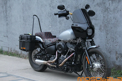 LS 2-UP Seat w/Fender Mount for Harley Softail Street Bob FXBB FXBBS (2018)