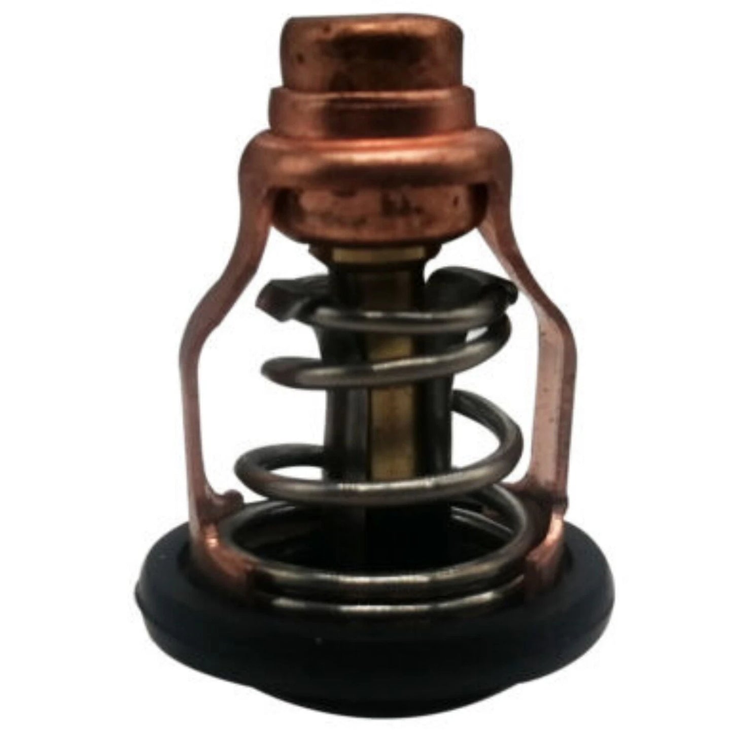 Thermostat for Yamaha F80B F100D Outboard Motor (4-Stroke)