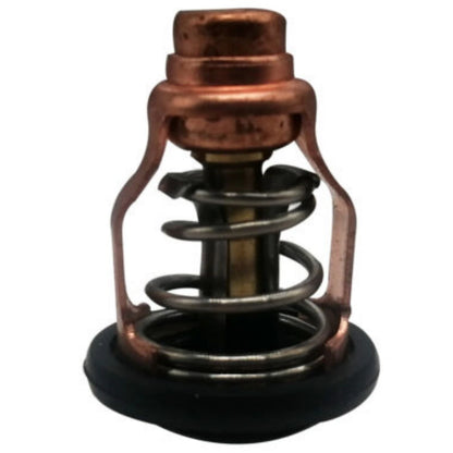 Thermostat for Yamaha F80B F100D Outboard Motor (4-Stroke)