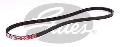 Drive Belt