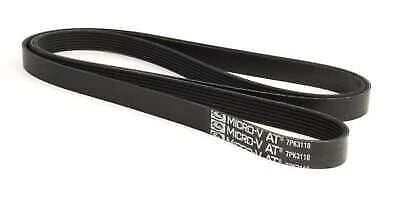 Drive Belt for Ford Ranger (2011–2022)