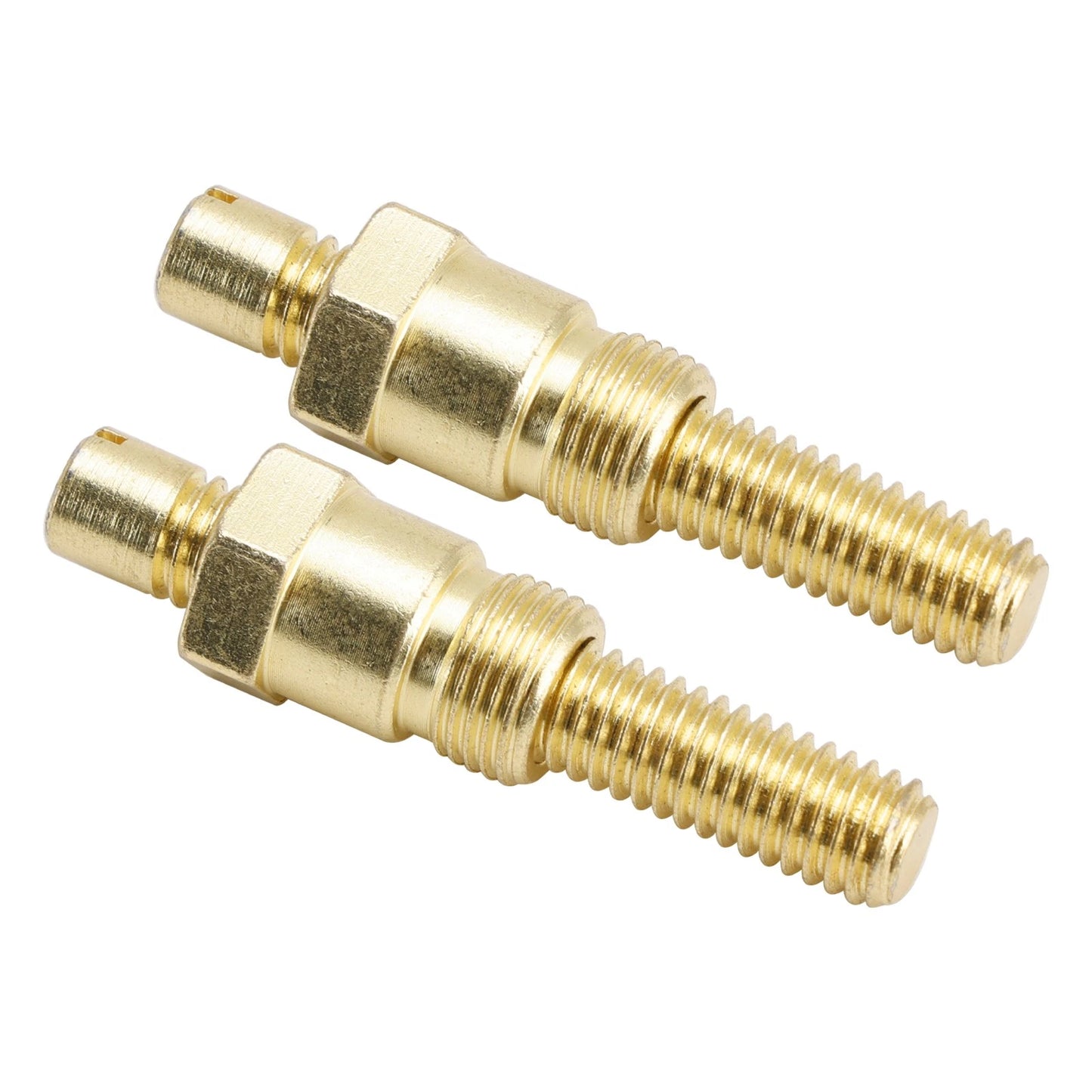Pair of motorcycle license plate screws and nuts for custom applications