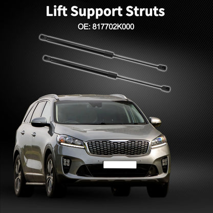 Rear Hatch Lift Supports Struts No. 817702K000 for Kia Soul (2010–2019)