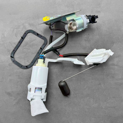 Fuel Pump Assembly for Harley Davidson Softail Heritage (2008–2010)