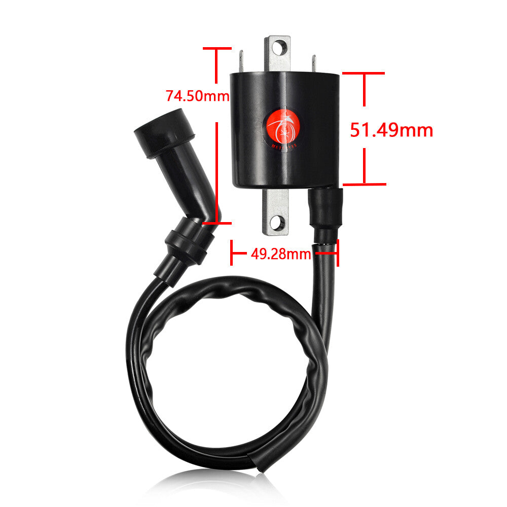 2X Ignition Coil for Yamaha V Star 1100 (1999–2009)