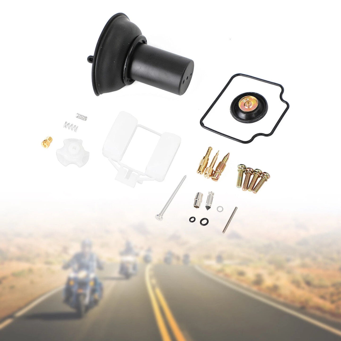 Carburetor Repair Kit for Honda CBX250 (1980–1982)