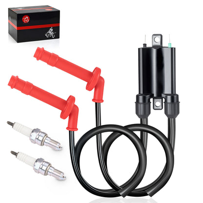 Ignition Coil & Spark Plug for Honda CBR600F2 CBR600F3 (1991–1998)