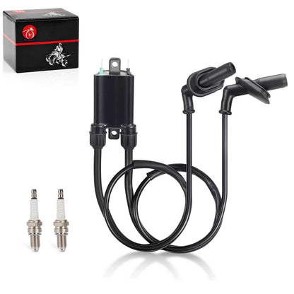 Ignition Coil & Spark Plug Set for Honda Goldwing 1500 (1988–2000)