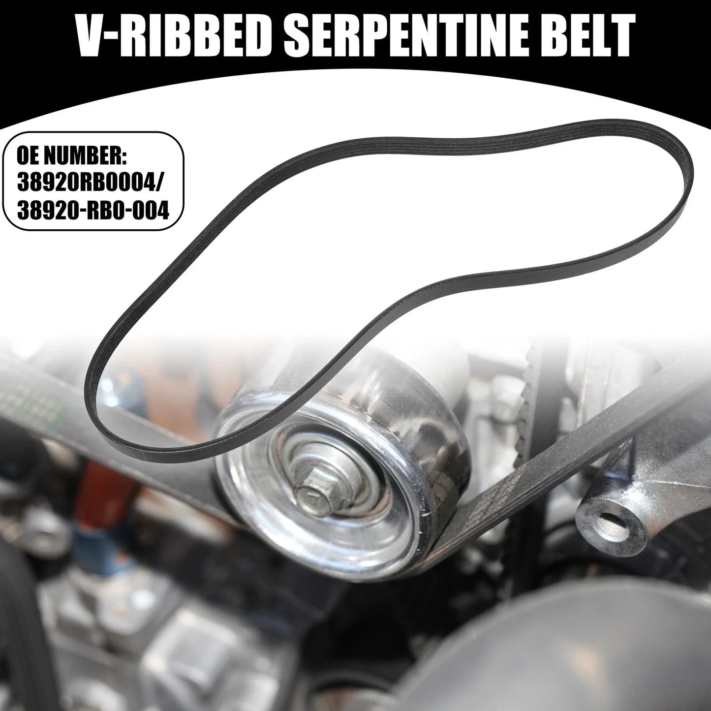 V-Ribbed Serpentine Belt for Honda Fit 5 Doors (2009-2013)