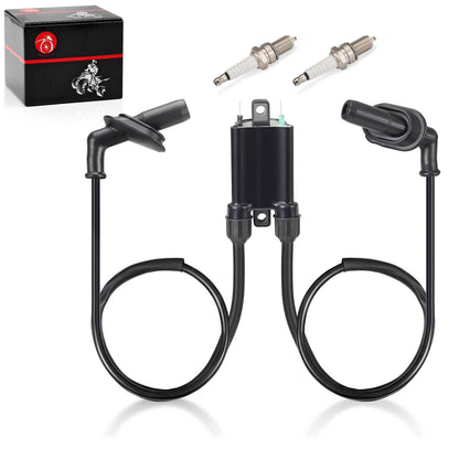 Ignition Coil & Spark Plug Set for Honda Goldwing 1500 (1988–2000)