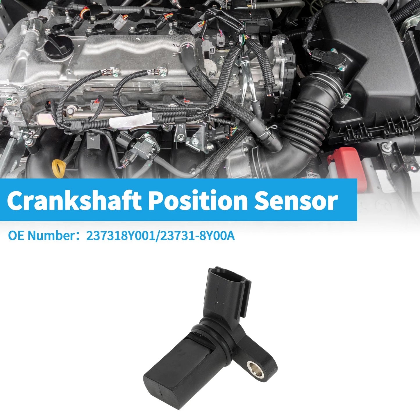Crankshaft Position Sensor for Nissan Altima SE 3.5 (2002–2006) No. 23731-8Y001