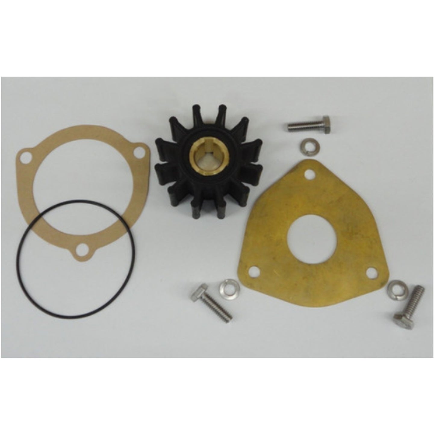 Minor Repair Kit for Sherwood Pump (G1, G2, G15, G21, G22, G30-2B)