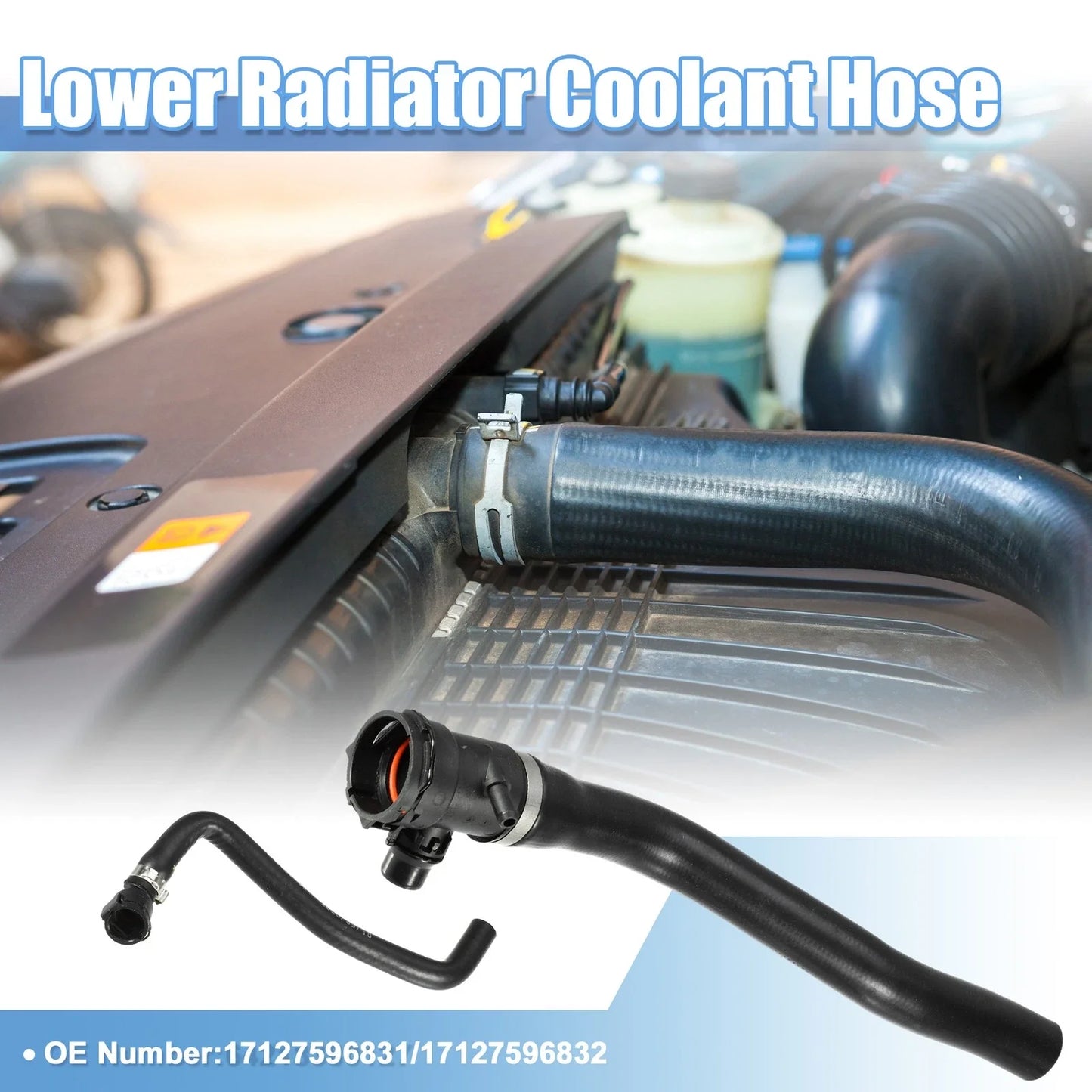 Radiator Coolant Hose 1 Set for BMW 320i Base 2.0L