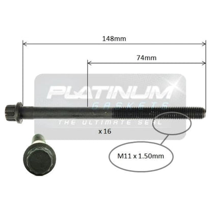 Set of 10 Engine Cylinder Head Bolts for Kia Carnival (2006–2010)