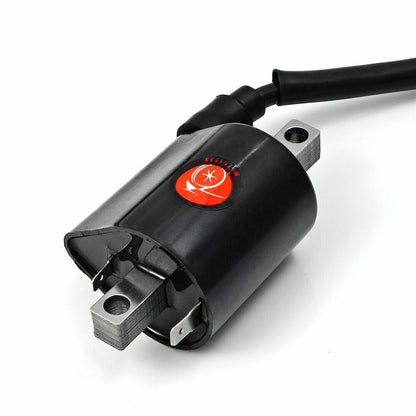 2X Ignition Coil for Yamaha V Star 1100 (1999–2009)