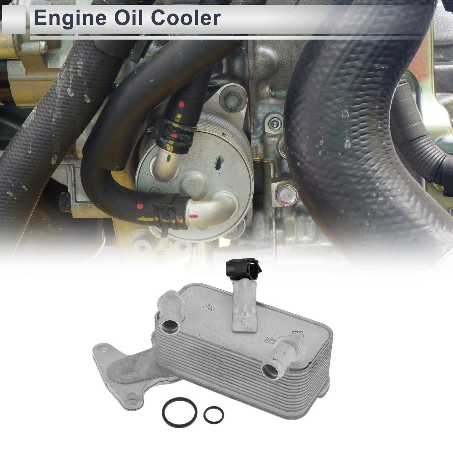 Engine Oil Cooler for Volkswagen (09G409061E) Trans Cooler with O-ring Seals