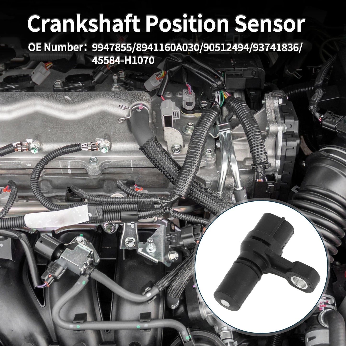 Crankshaft Position Sensor for Hyundai Terracan (2001–2006) No. 9947855