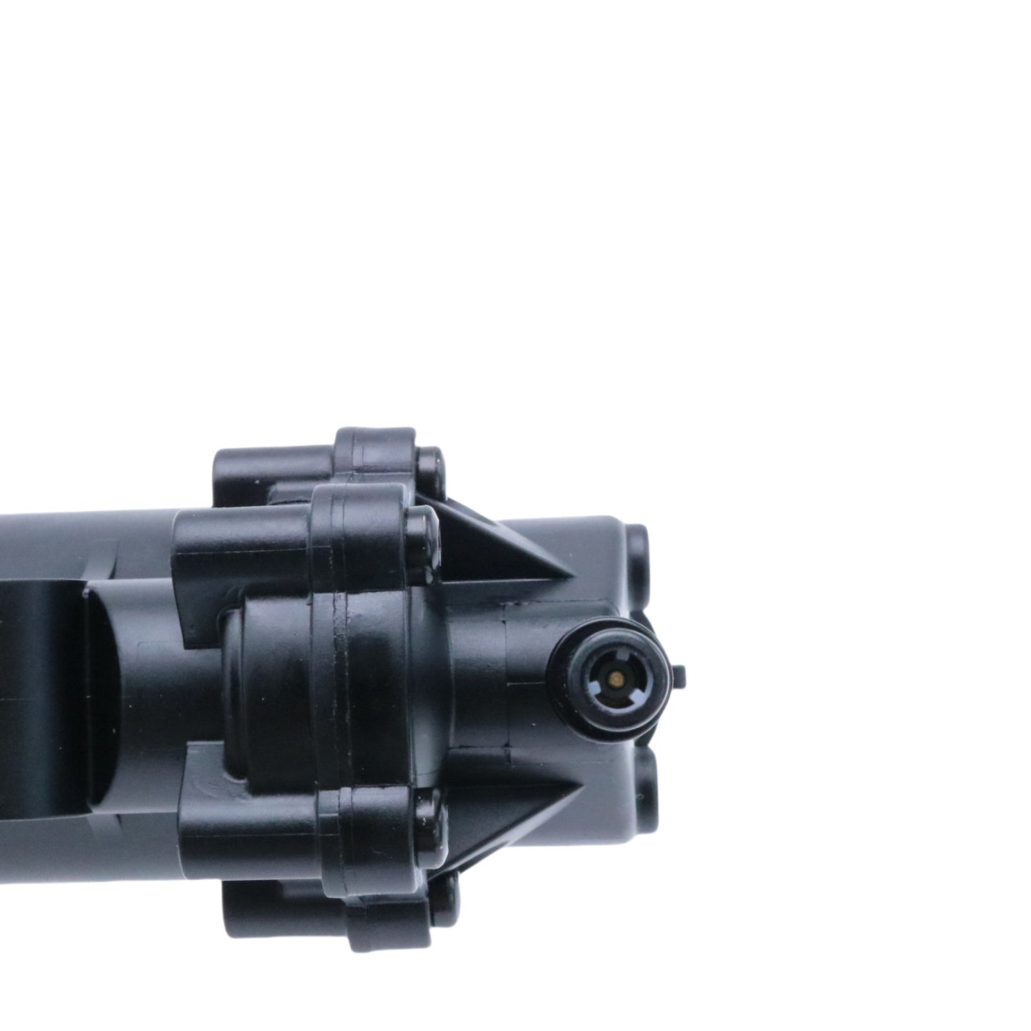 Fuel Pump Assembly for ROJO Motorcycle