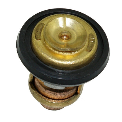 Thermostat for Yamaha Parsun Outboard (66M-12411-00, 6G8-12411, F15-07000031)
