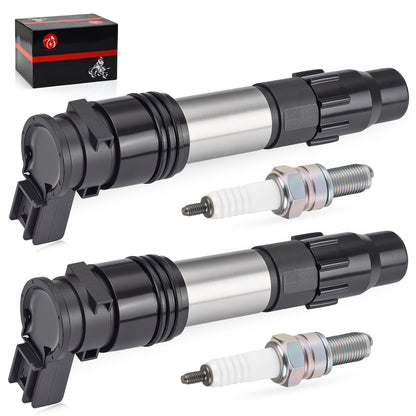 2X Ignition Coils & Iridium Spark Plugs for Kawasaki Ninja 300 (2013–2017)