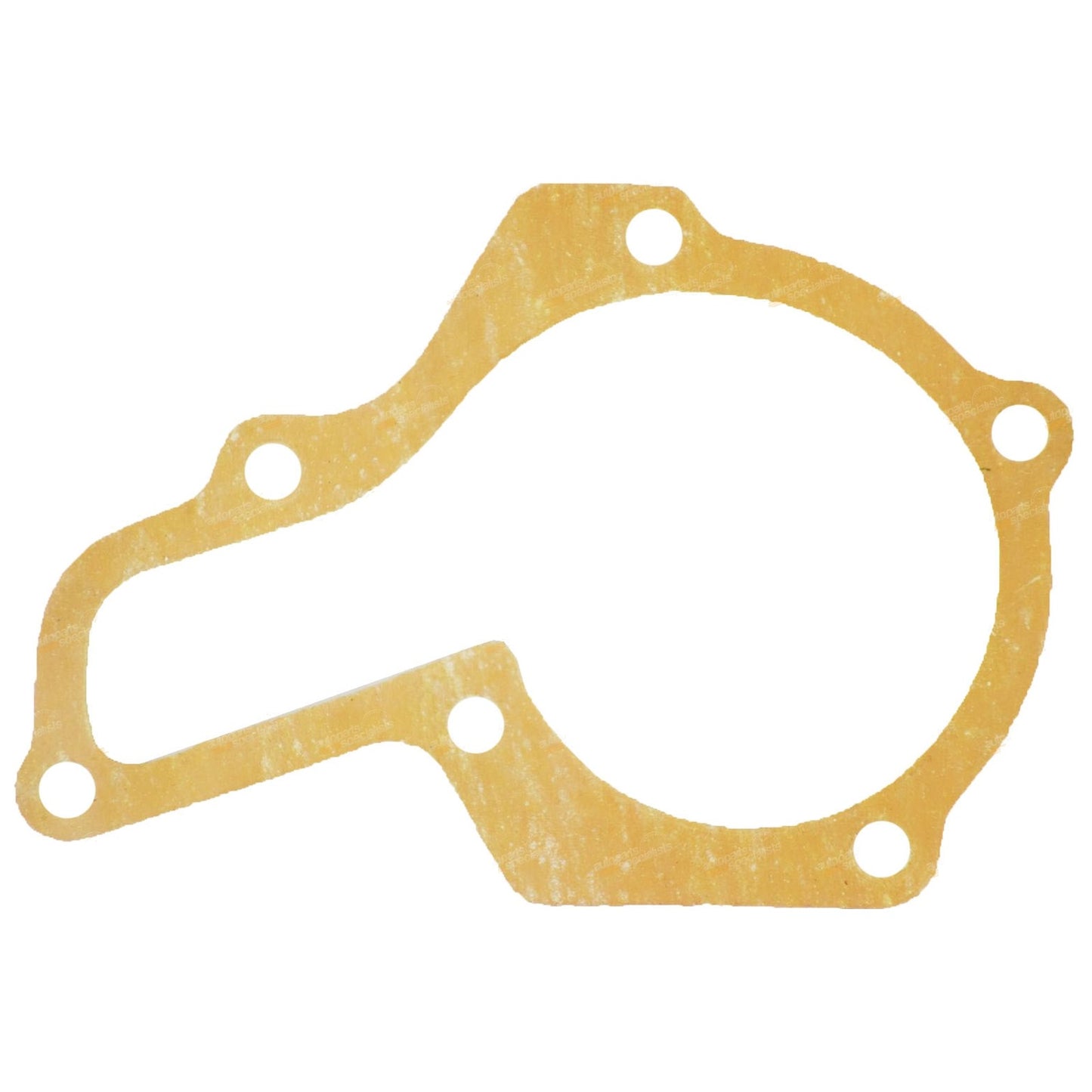 Water Pump Gasket for Holden Suzuki Barina Sierra Swift (1985–2000)