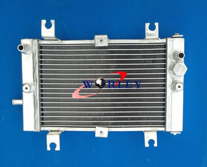 Full Aluminum Radiator for Can Am Bombardier DS250 (2006–2012)