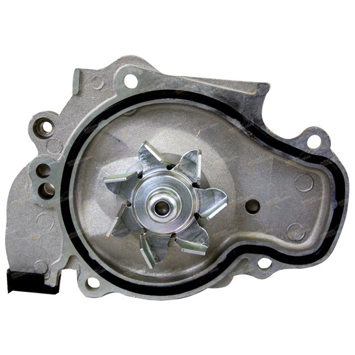 Engine Timing Belt and Tensioner