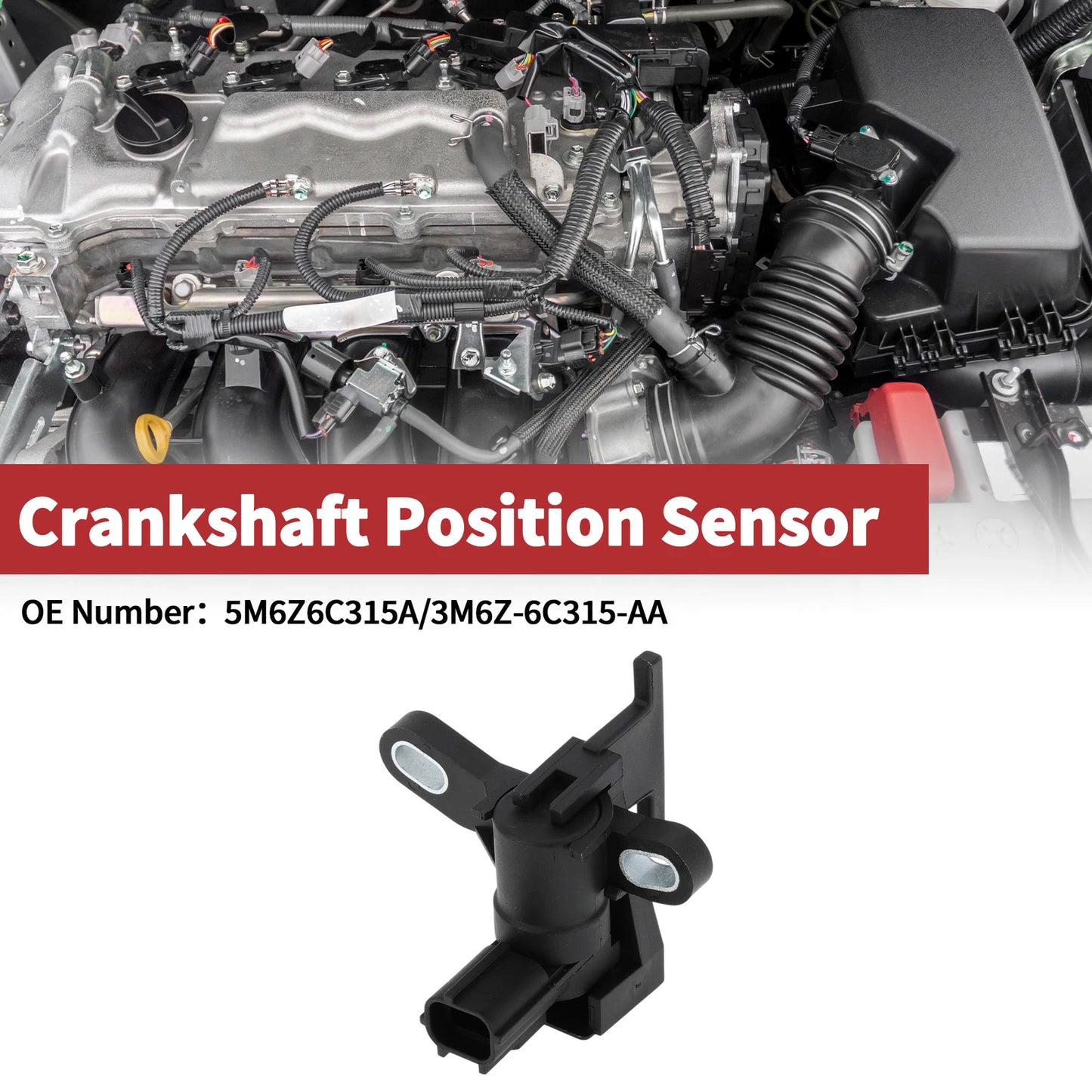 Crankshaft Position Sensor for Ford Escape 2.5 (2009–2019) No. 5M6Z6C315A