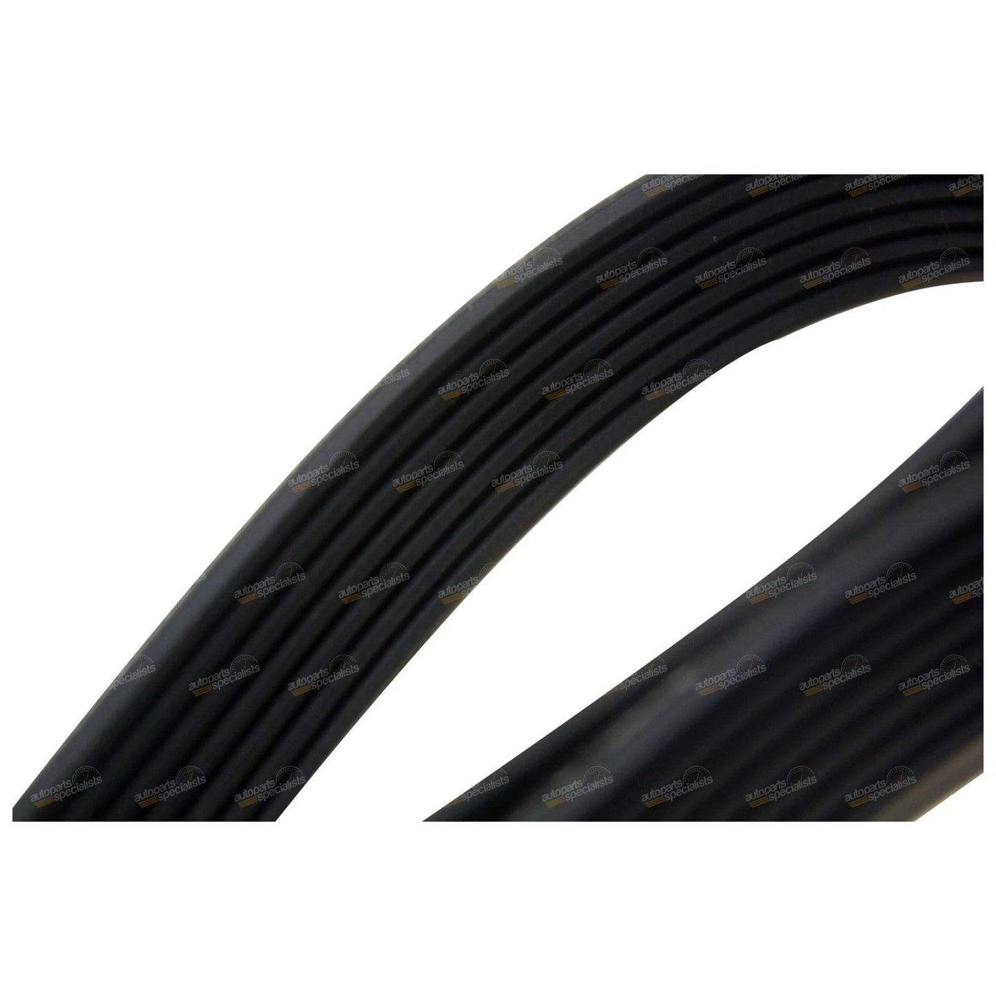 Engine Fan Drive Belt for Nissan Patrol GU Y61 (2007–2016)