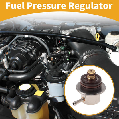 Fuel Pressure Regulator for Hyundai Sonata (No. 3530138300)