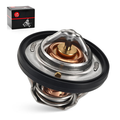 Thermostat & O-Ring for Honda TRX500FA FGA FPA (2005–2016)