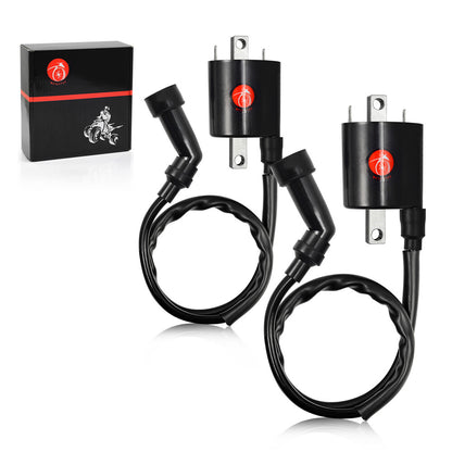 2X Ignition Coil for Yamaha V Star 1100 (1999–2009)