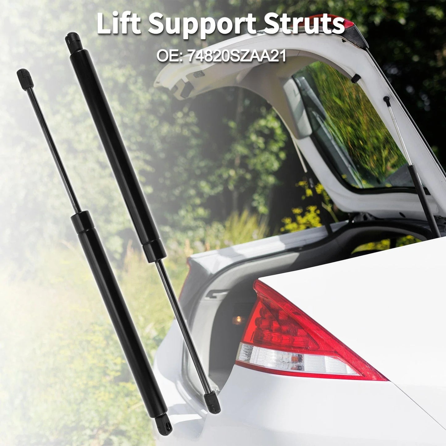 Rear Hatch Lift Supports for Honda Pilot Sport Utility (2016-2023)