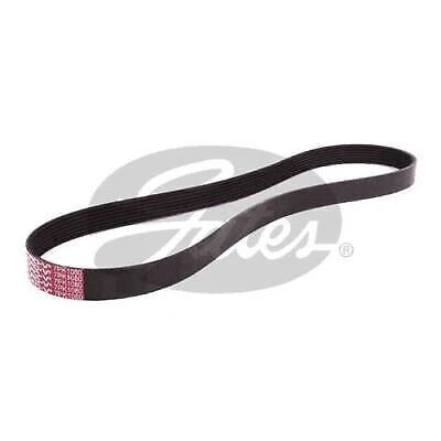 Engine Drive Belt for Gates (7PK1080)