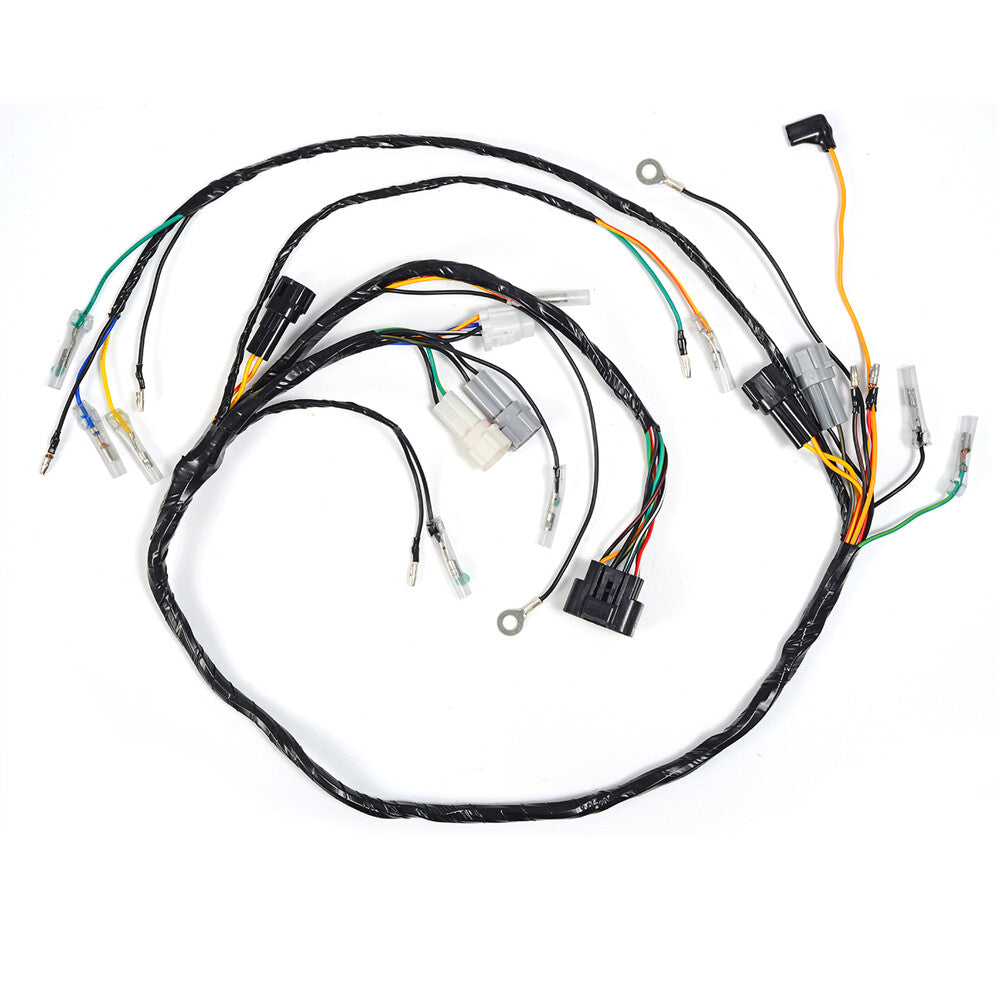 Complete Wiring Harness for Yamaha Blaster YFS200 (2003–2006)