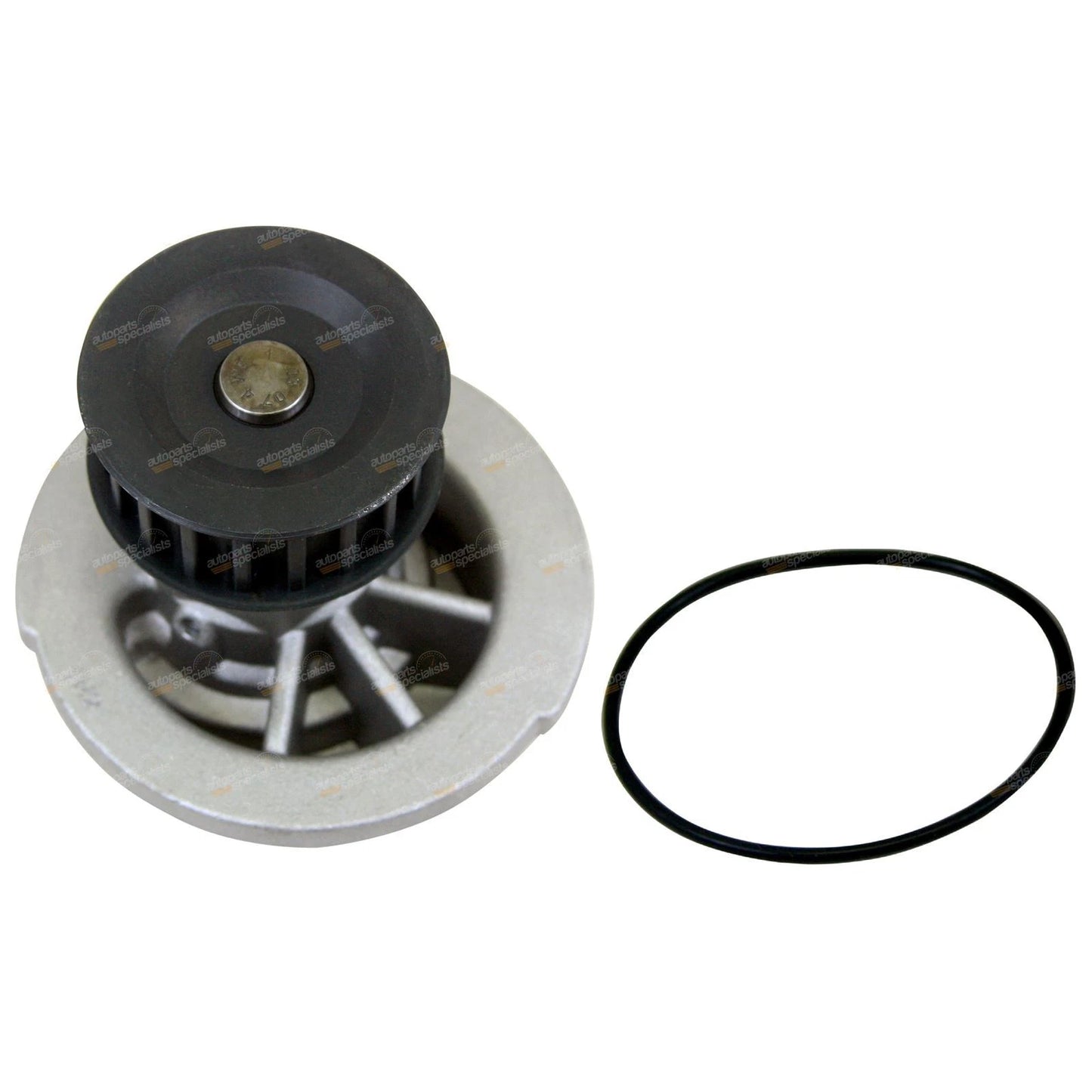 Timing Belt