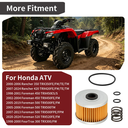 Oil Filter & Spring for Honda Pioneer 500 520 (2015–2023)