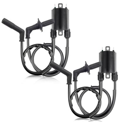 2 Sets of Ignition Coils for Honda VT1100C Shadow (1987–2000)