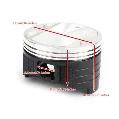 Piston Kit 73mm Std for Suzuki DR250R DR250S DRZ250 AN250 (1990–2007)