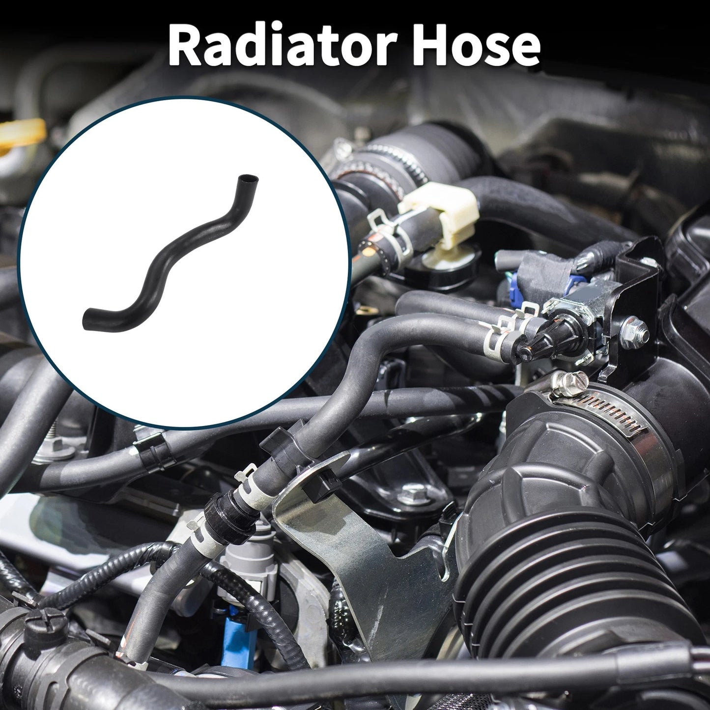 Radiator Hose No. 1657231191 for Toyota Reiz (2006–2007)