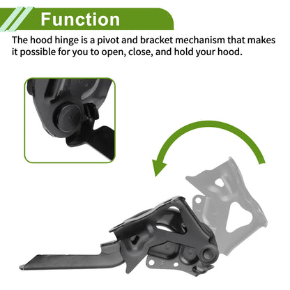 Hood Hinges for Lexus NX200t (2015–2018) Pair No. 5341078030