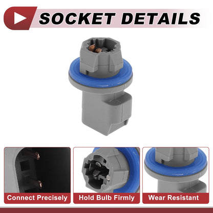 License Plate Light Socket Wiring for Ford F-150 (2001–2014) No.F81Z13411AA