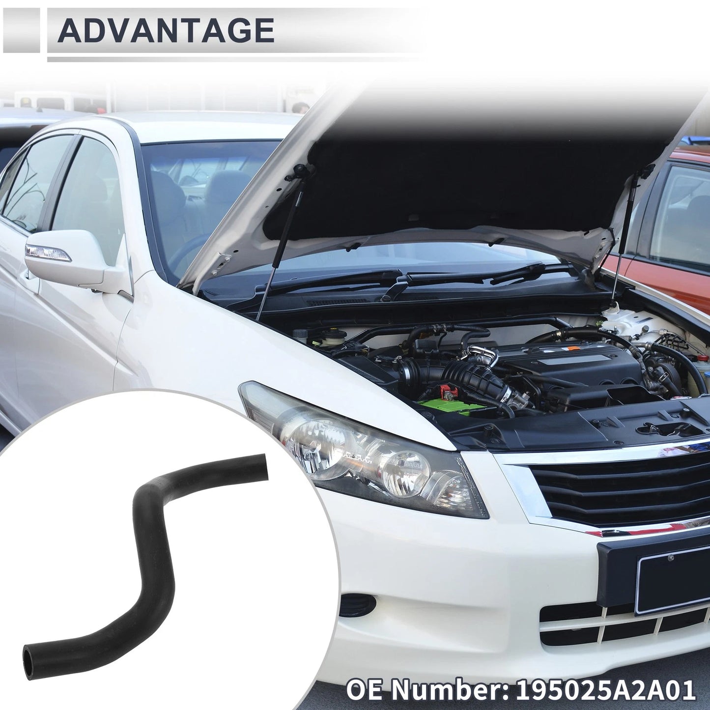 Radiator Coolant Hose for Honda Accord 2.4L (2013–2017) No. 195025A2A01 Rubber