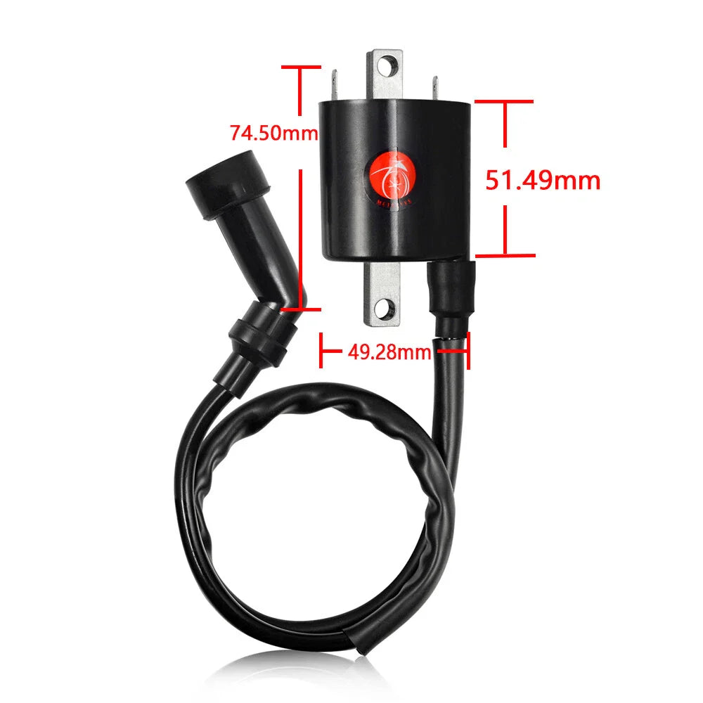 2x Ignition Coil for Yamaha V Star 1100 XVS1100 (1999–2009)